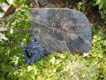 Stub Thomsen.JPG